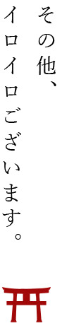 その他、イロイロございます